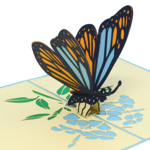 Pop Up Karte, 3D Karte, Schmetterling blau, N382
