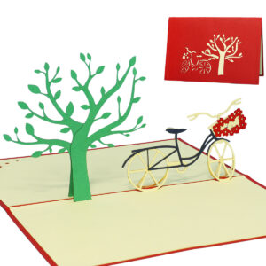 Pop Up Karte, 3D Karte, Blumen Fahrrad, N153